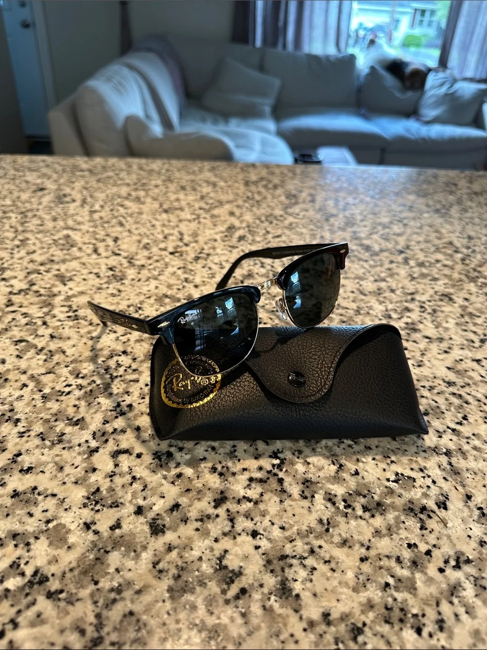 Ray-Ban Black Frame Sunglasses with Black Case